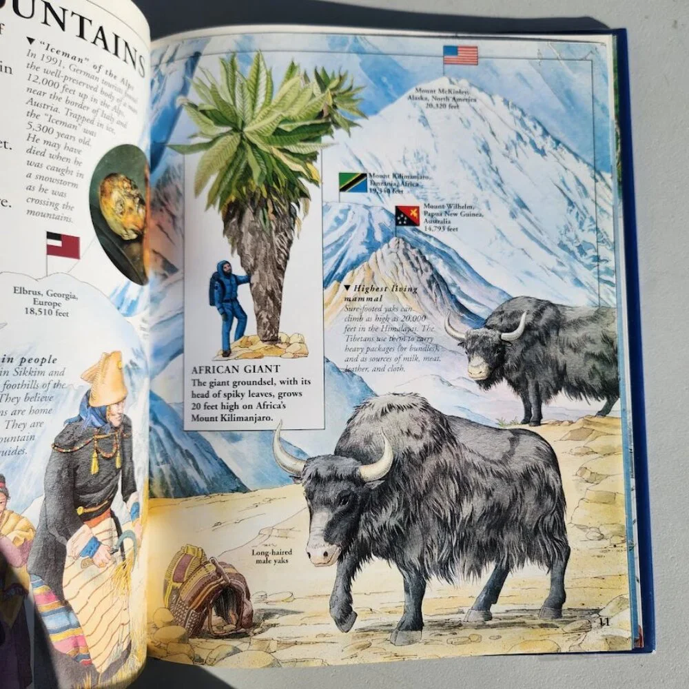 Scholastic nature earth